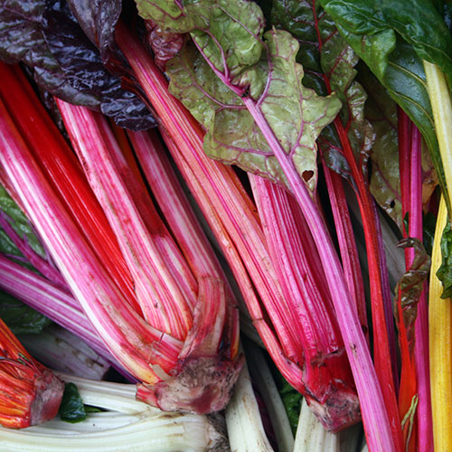 May means Asparagus and Rhubarb will be ready at Union Orchards